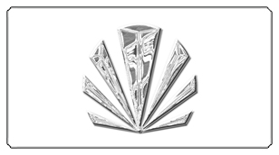 DSC700 602 SL WT Silver Sunburst White Background